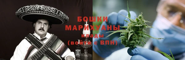 прущие грибы Арсеньев
