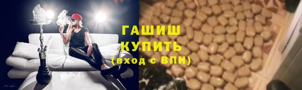 прущие грибы Арсеньев