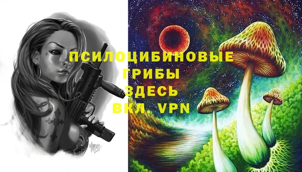 прущие грибы Арсеньев