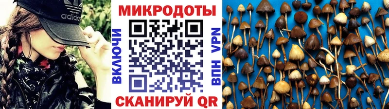 где продают   Ивдель  Псилоцибиновые грибы прущие грибы 